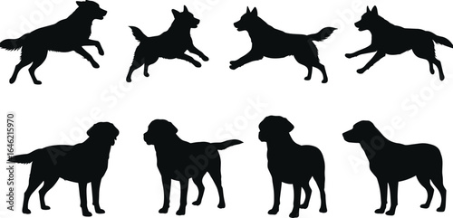 Dog Silhouette Vector Set: Running and Standing Poses of Various Breeds for Pet and Design Use