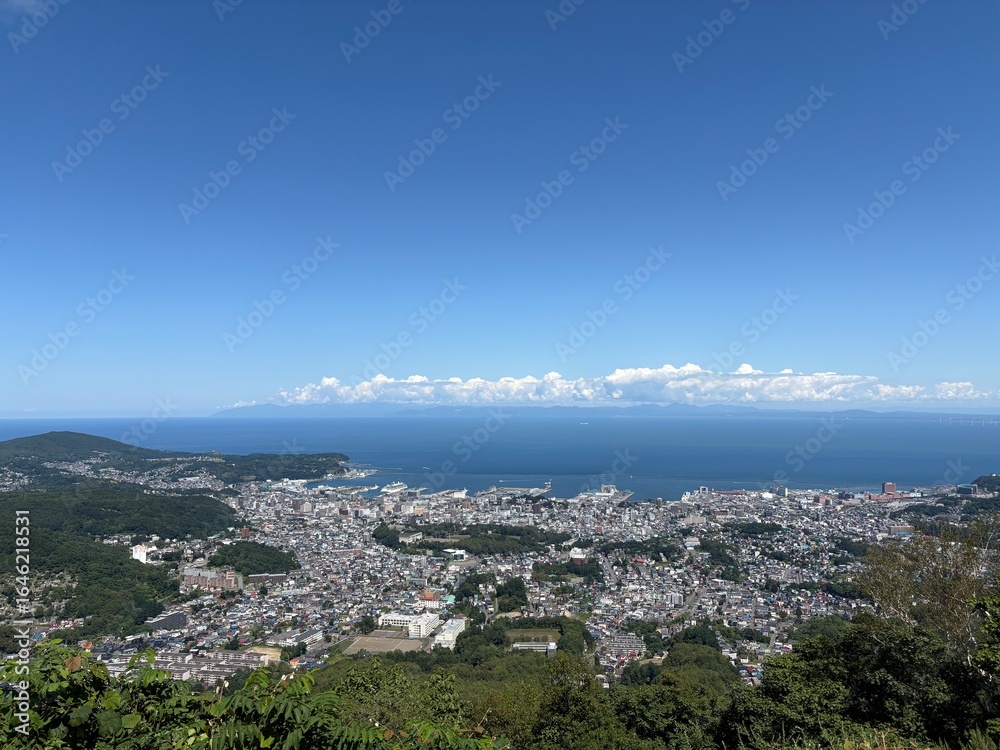 Obraz premium 小樽市内の天狗山展望台