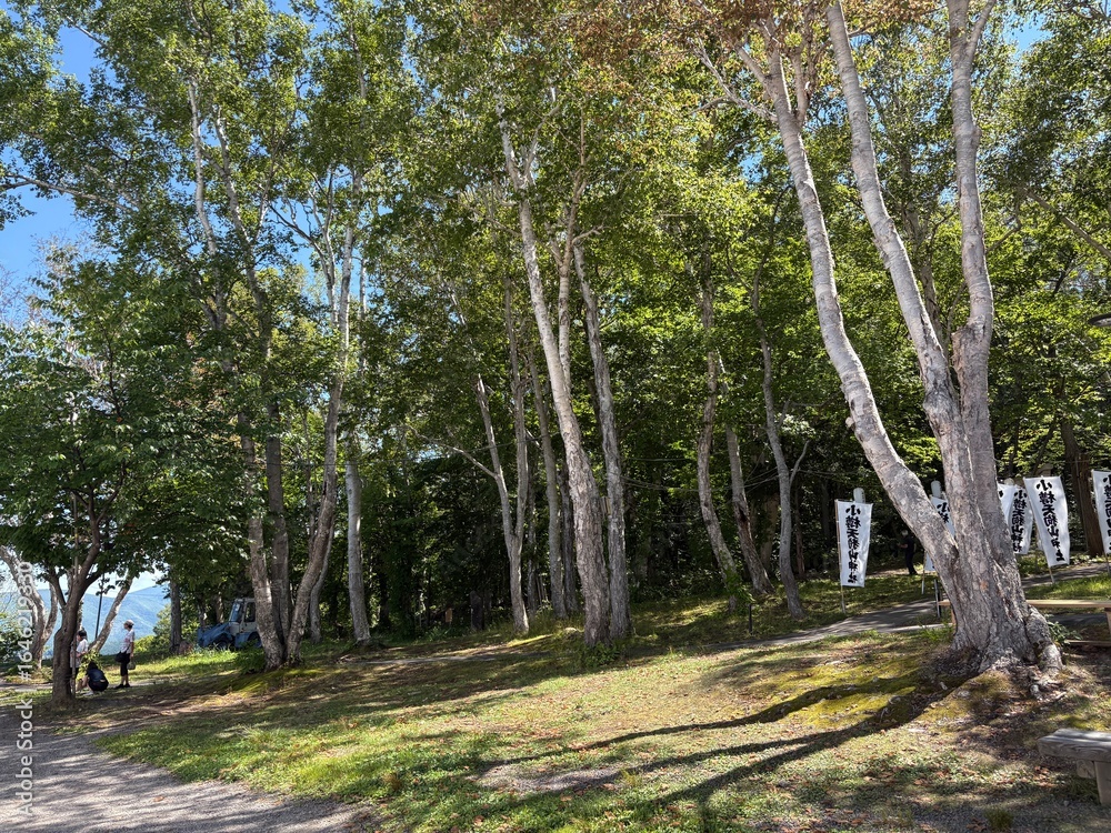 Fototapeta premium 小樽市内の天狗山