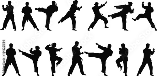Martial arts silhouette set, karate poses, taekwondo kicks, kung fu stances, fighter actions, self-defense moves, combat illustration, black figures
