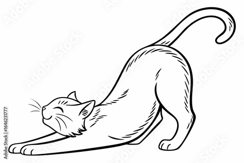 Happy black and white cartoon cat stretching its body