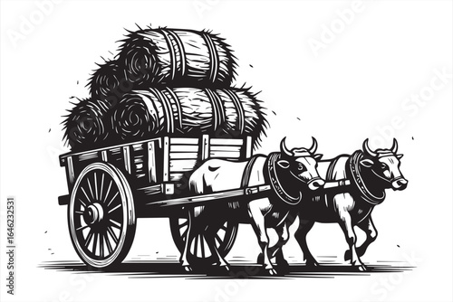 Oxen pulling cart loaded with hay bales rural