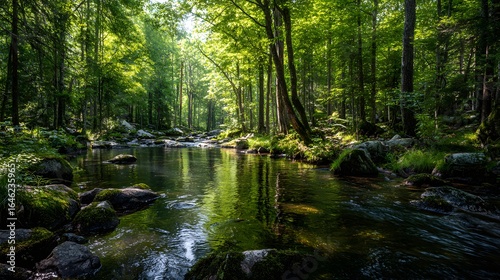 Tranquil forest stream with lush greenery.