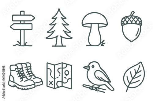 Nature icons: directions, tree, mushroom, acorn, boots, map, bird, leaf