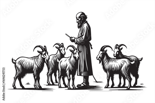 Man with goats in a pastoral scene herd outdoors