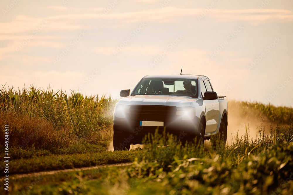 Fototapeta premium Farmer driving his pick-up truck through field.