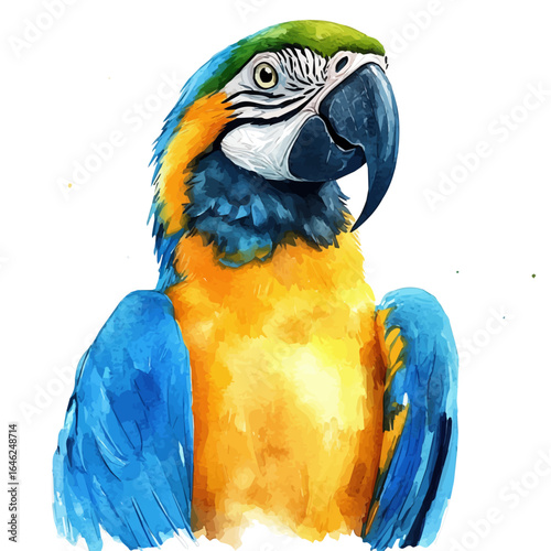 watercolor of Parrot, vector, isolated on a white background.