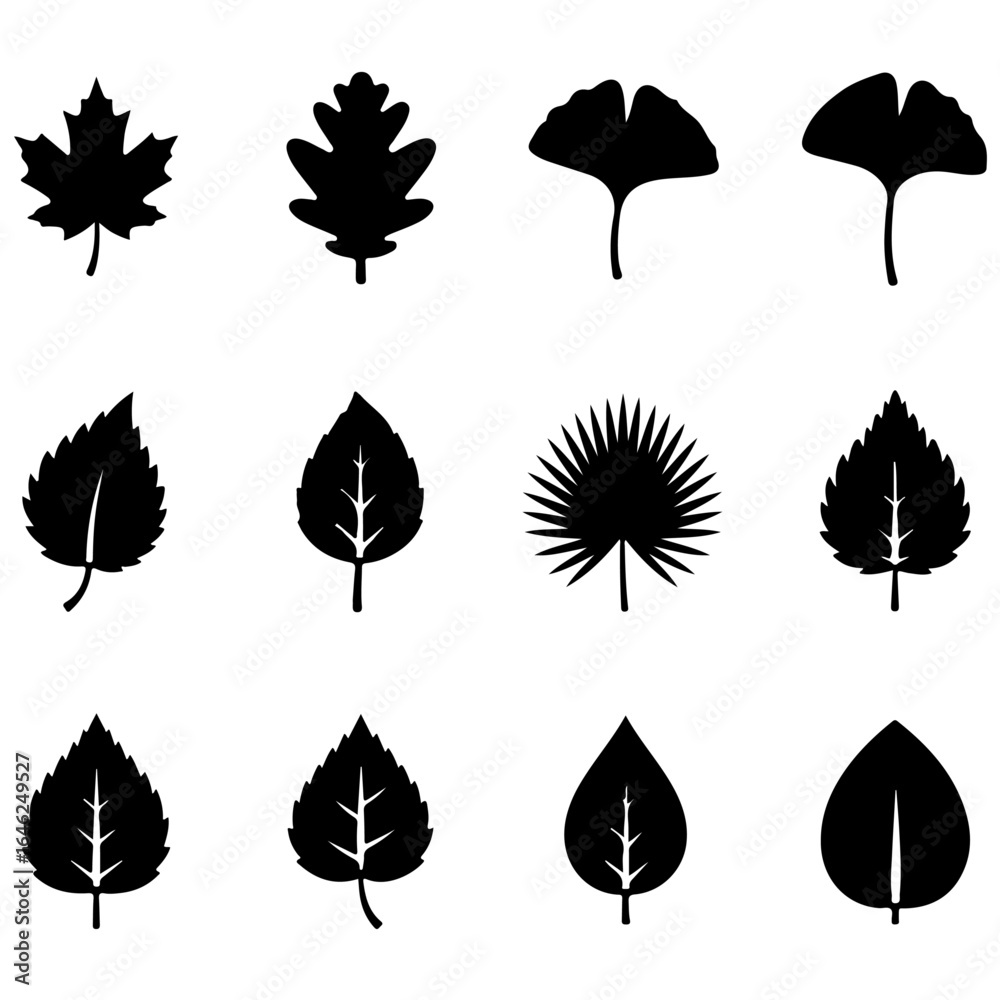 Obraz premium Leaf Silhouette Icon Set – Vector, PNG, SVG, and Clipart Collection for Designers