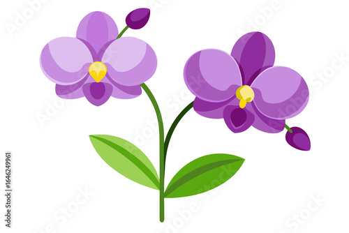 Minimal Flat Vector Illustration of Two Purple Orchid Flowers