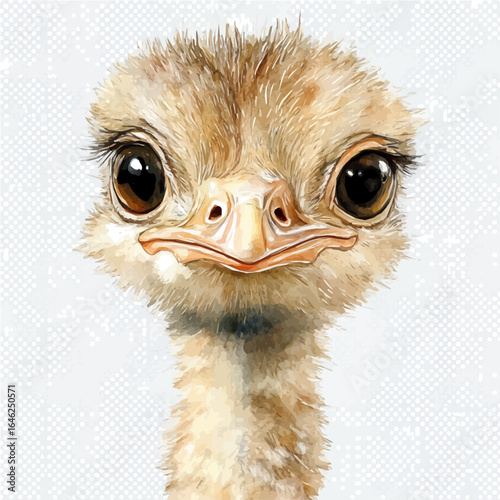 Ostrich, watercolor illustration vector, isolated on a white background.