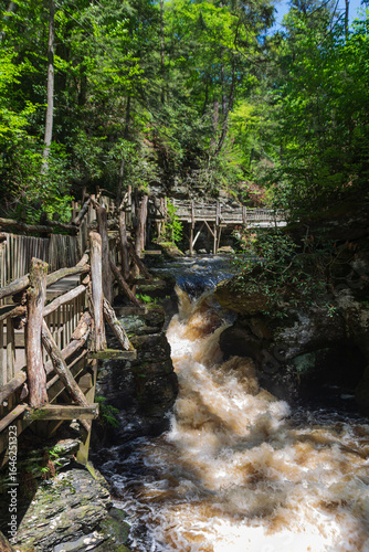 Rushing water at Bushkill Falls after significant spring rainfall with wooden boardwalk alongside.
