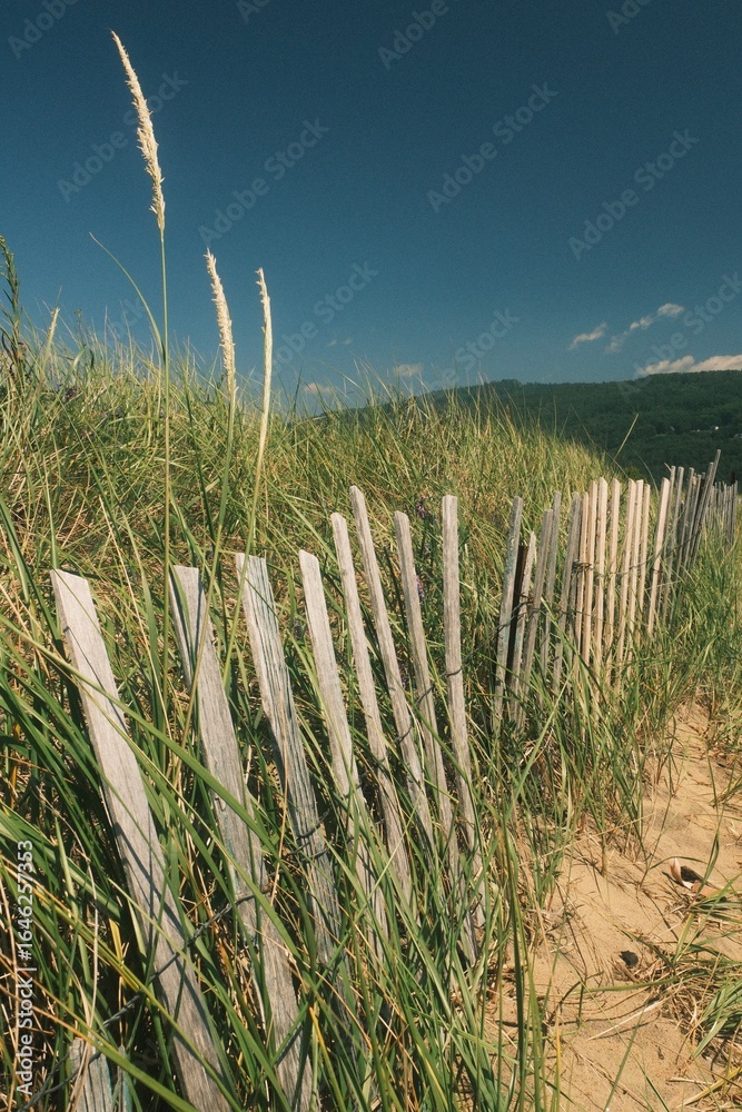 Fototapeta premium Paysage