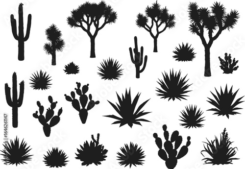 Set of desert plant silhouettes, cactus and agave, various shapes and styles, vector illustration. Wild west landscape, western flora icon isolated
