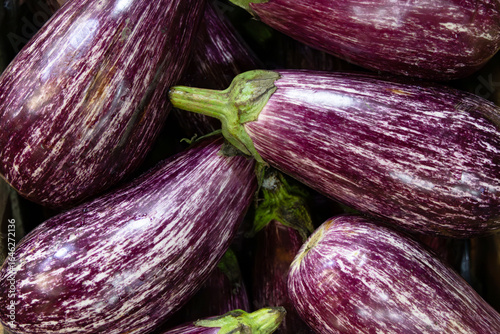 Wallpaper Mural Portion of a quality eggplant streaked with purple and white Torontodigital.ca