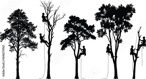 Tree climbing silhouettes, rope climbers, varied foliage trees, outdoor activity, arborist work, recreational climbing, forest scene, vector illustration