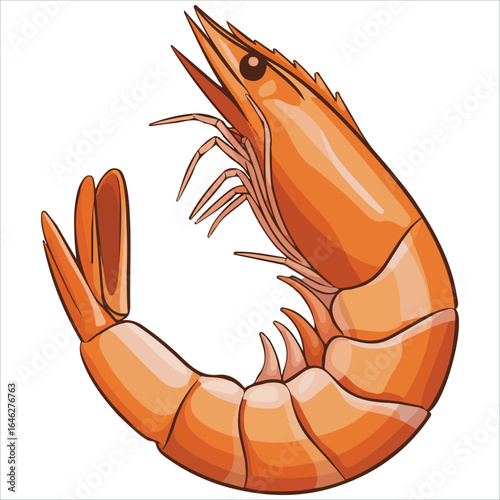 Prawn crustacean marine animal vector graphic plain