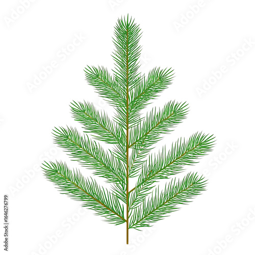 Green fir branch with multiple offshoots, realistic 3D render — white isolated background