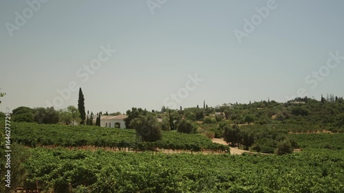Vineyard landscape with white villa and cypress trees in Algarve, Portugal