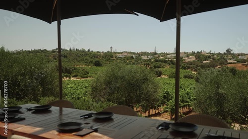Outdoor dining table overlooking vineyard landscape in Algarve, Portugal