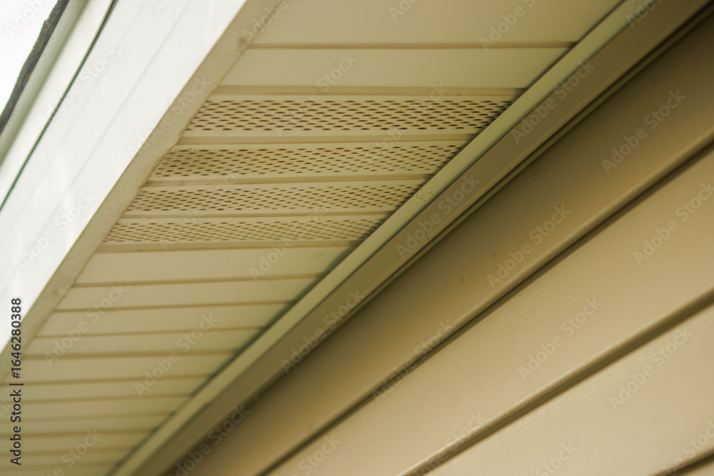 Obraz premium The roof ledge of a house