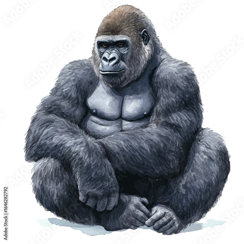 Gorilla, watercolor drawing vector, isolated on a white background.