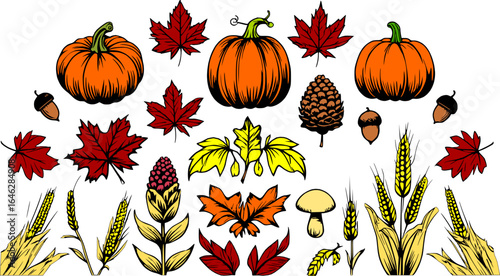 Autumn harvest vector collection featuring pumpkins, maple leaves, acorns, mushrooms, corn, and seasonal foliage in warm red, orange, and yellow tones