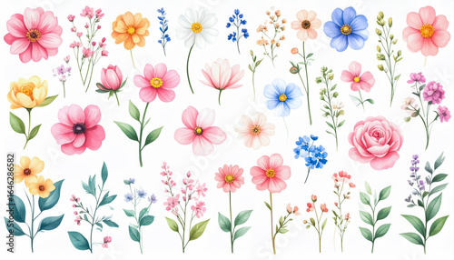Assorted Hand-Painted Wildflowers in Various Colors on White Background for Elegant Botanical Projects