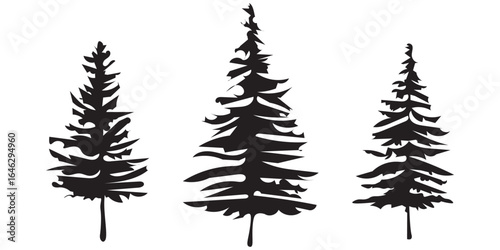 Black Silhouette of an Evergreen Tree Against a White Background Displayed