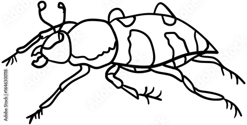 фотографія American Burying Beetle Insect Vector Outline Line Art Drawing