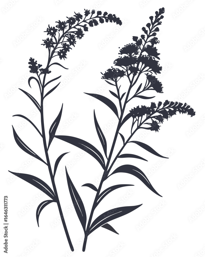 Naklejka premium Minimalist Goldenrod Flower Silhouette Vector