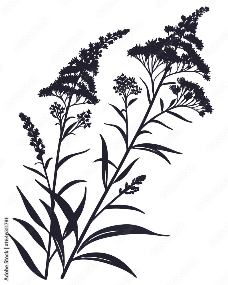 Naklejka premium Minimalist Goldenrod Flower Silhouette Vector