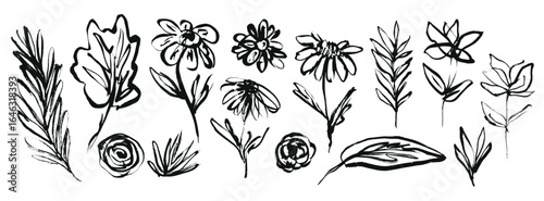 Set of hand drawing black ink flowers, leaves and grass. Sketch distressed brush stroke textured floral blossoms and botanical elements for pattern design, greeting card, logo, sticker