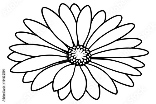 daisy line art flower vector illustration