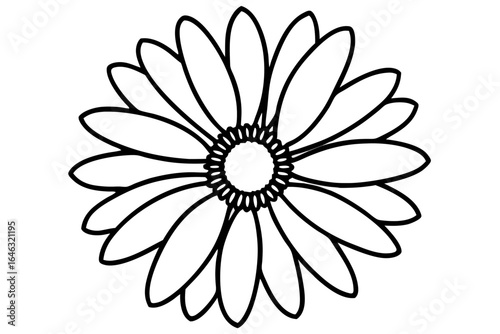 daisy line art flower vector illustration