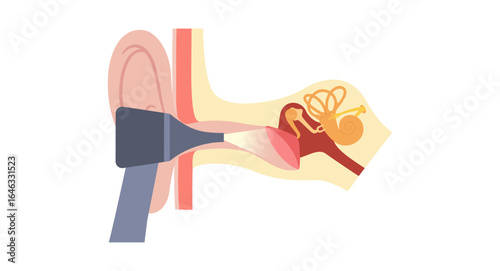 Human ear exam