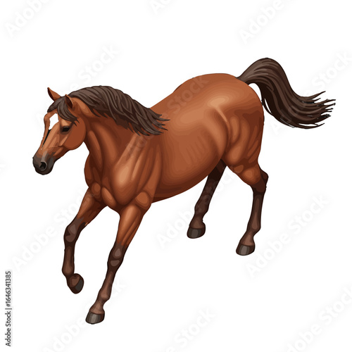 Beautiful brown horse with a dark mane and white blaze captured in a dynamic trot.