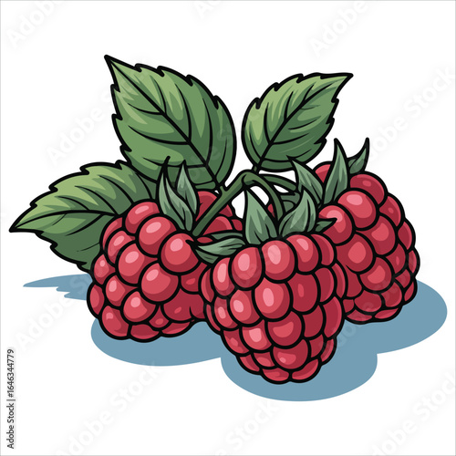 Red berry fruit vector graphic isolated