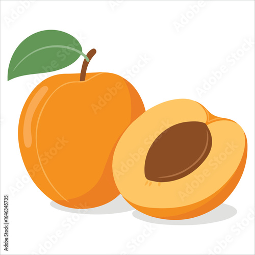 Apricot stone fruit flat vector illustration isolated
