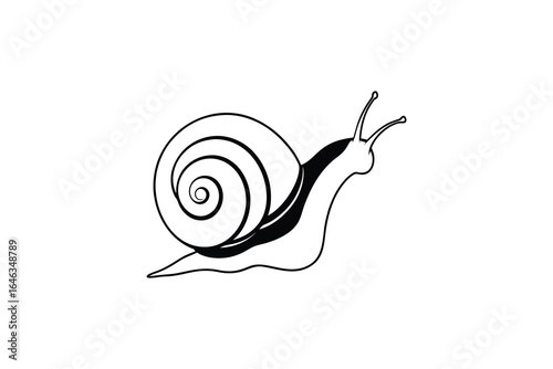 Simple black and white line drawing of a snail with a spiral shell and antennae silhouette