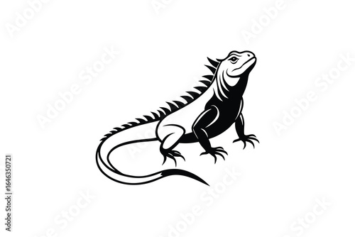 Black and white illustration of an iguana lizard on a white background silhouette