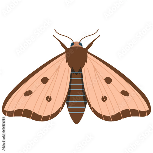 Nocturnal moth insect vector illustration white background
