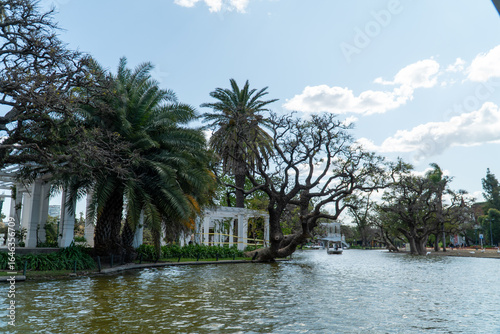 Lago y árboles