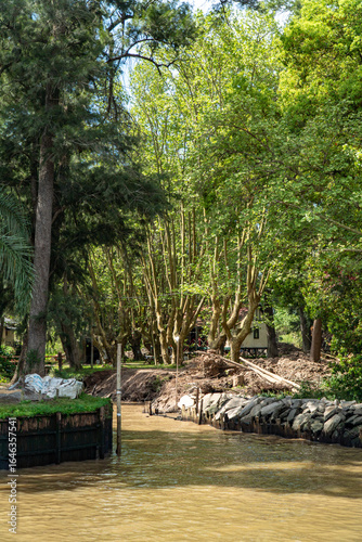 Árboles y río