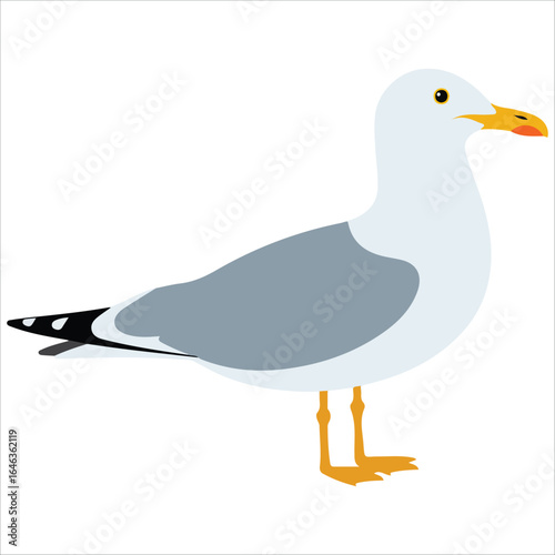 Marine seagull silhouette vector drawing landscape