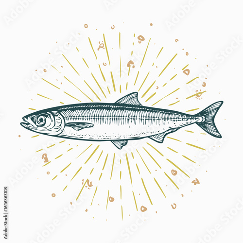 Hand drawn isolated Sardine Print. Vintage engraving illustration in ink line art style for t shirt, canvas, poster or placard, collage element.