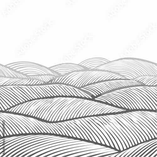 Charcoal or chalk textured vineyard, tea, coffee or rice field vector seamless texture. Agriculture abstract seamless pattern with waved stripes.