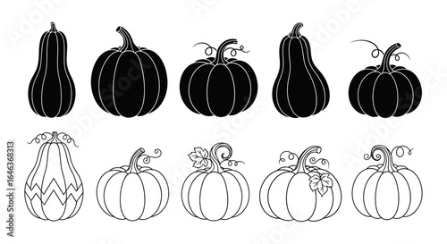 Collection of pumpkins in solid black silhouettes and outline designs, flat vector style on white background. Distinct forms and stems for fall decoration, harvest celebration, halloween festive art