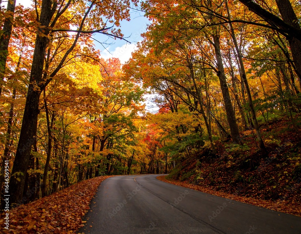 Obraz premium Autumnal forest road (2)