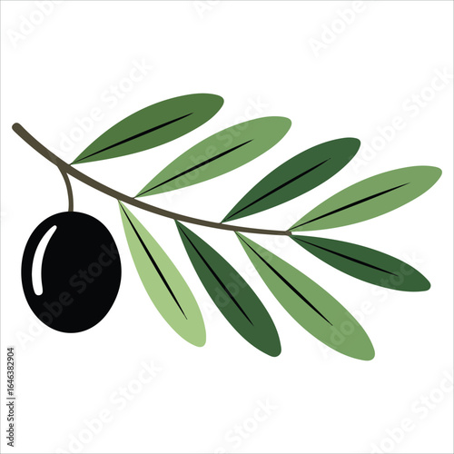 minimalist olive branch sketch vector art isolated white