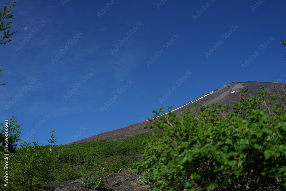 Fototapeta premium Mt. Fuji Hiking Early Summer 